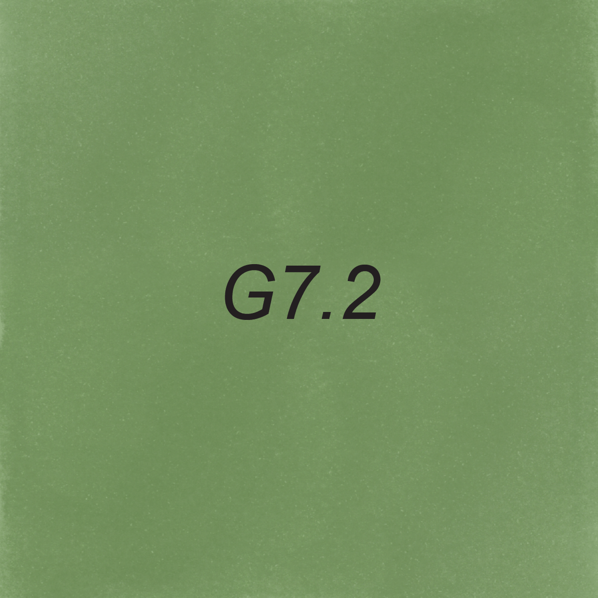 Brush Ink - G7.2 Sage