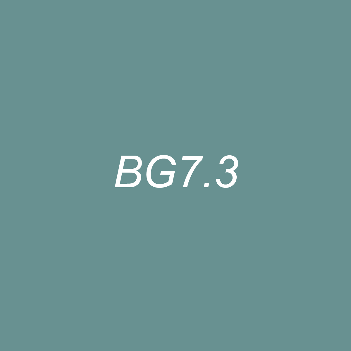 Brush - BG7.3 Blue Spruce