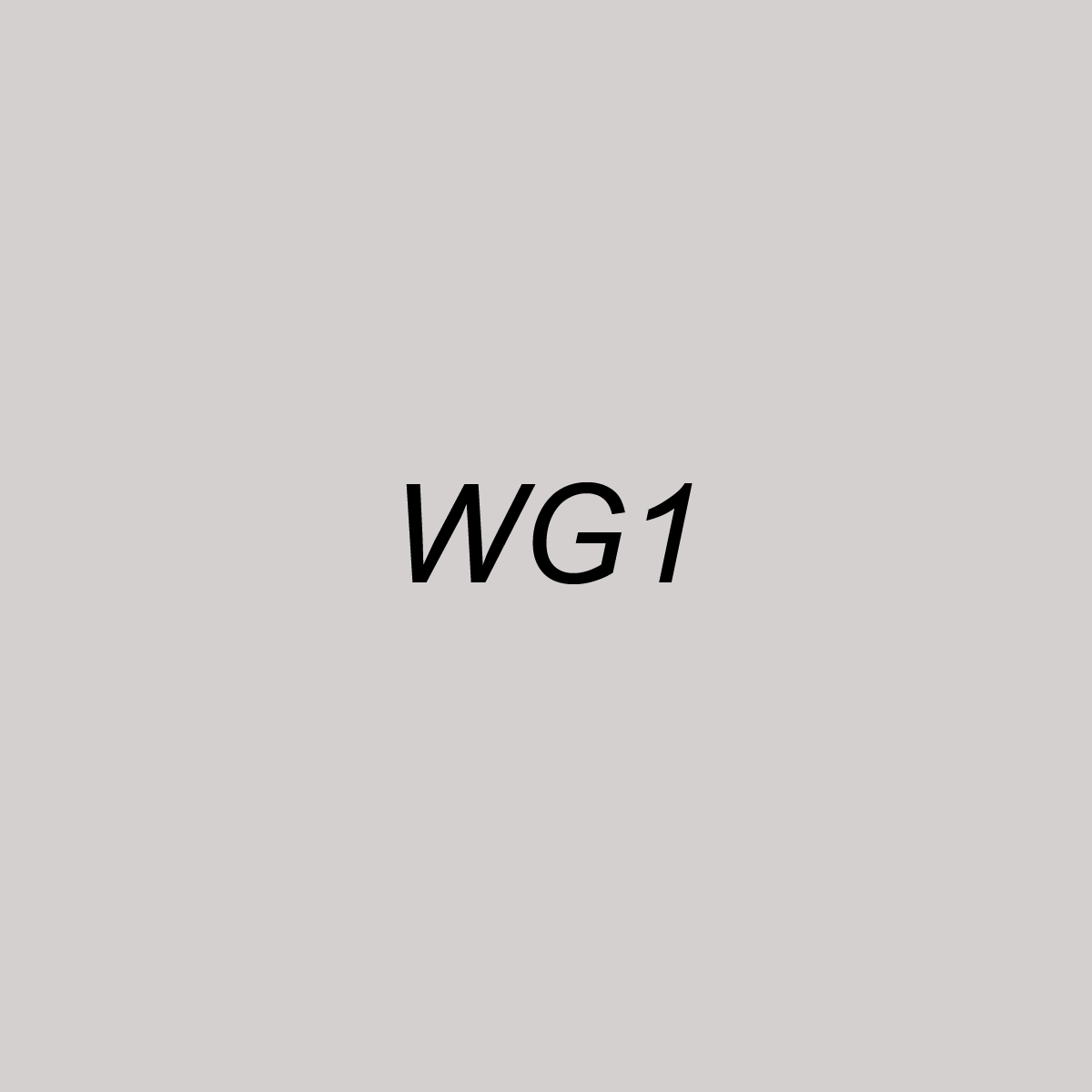 Brush - WG1 Warm Gray 1