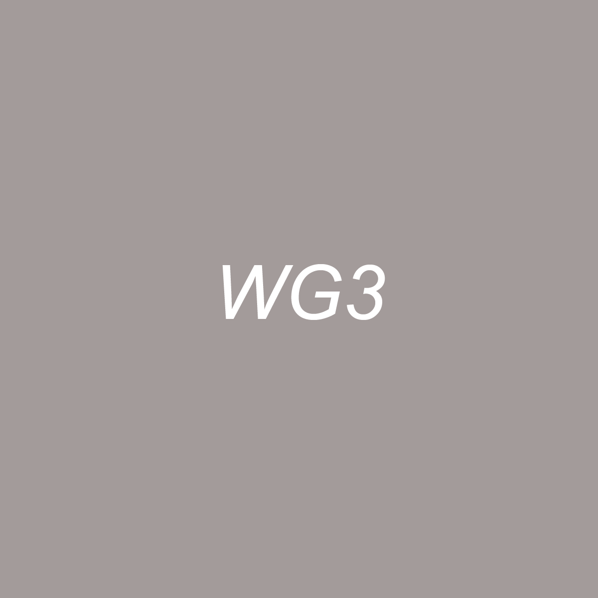 Chisel - WG3 Warm Gray 3