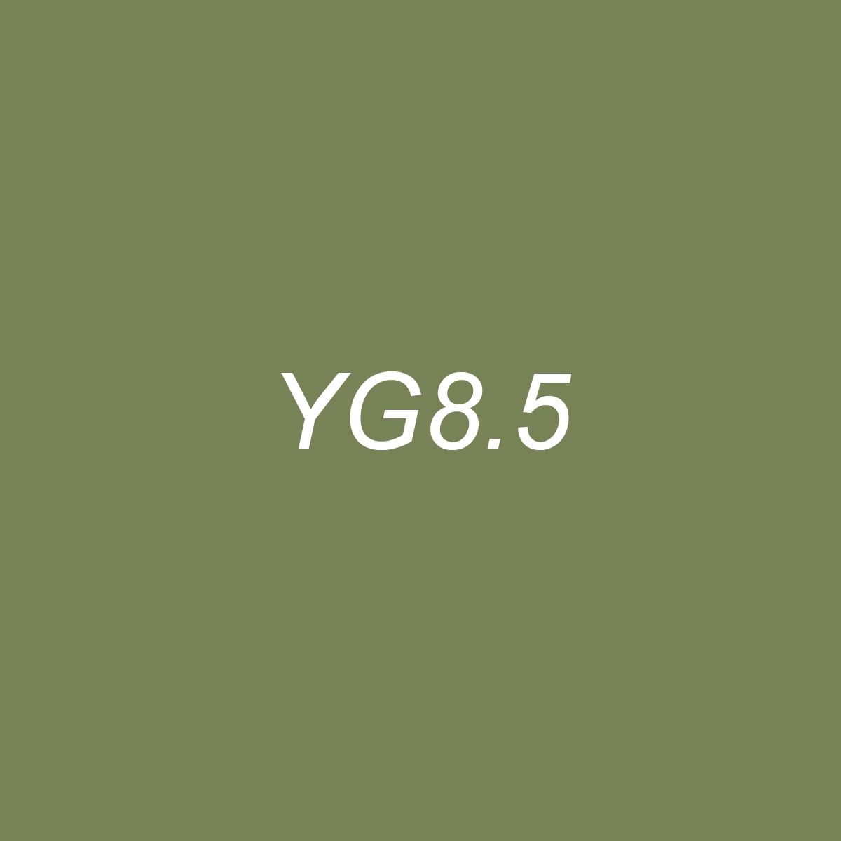 Chisel - YG8.5 Moss