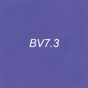 Brush Ink - BV7.3 Dusk Clouds