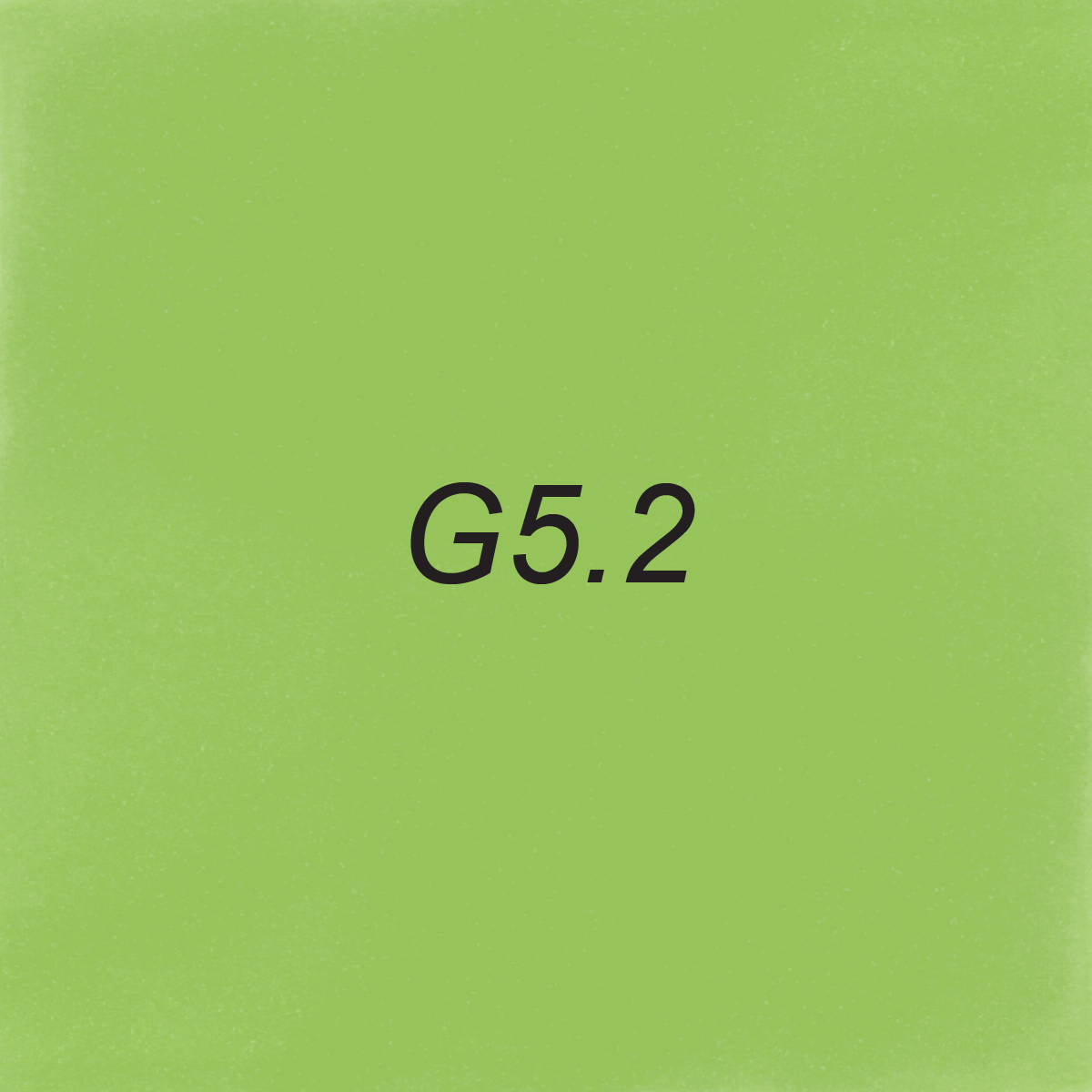 Brush Ink - G5.2 Luna Moth