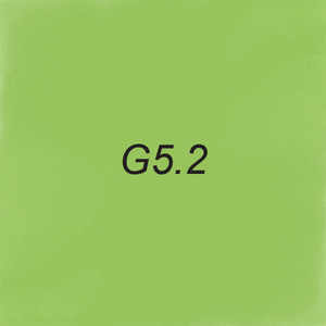 Chisel Ink - G5.2 Luna Moth