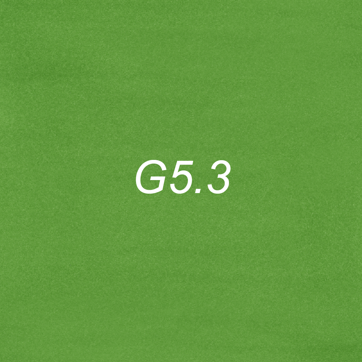 Chisel - G5.3  Green Bean