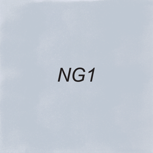 Brush Ink - NG1 Neutral Gray 1