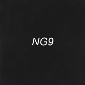 Brush Ink - NG9 Neutral Gray 9
