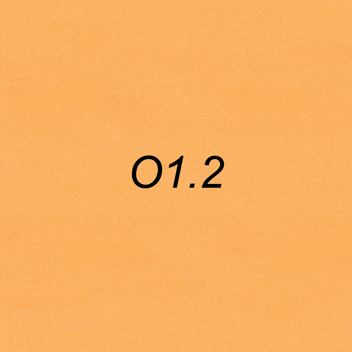 Brush Ink - O1.2 Loquat