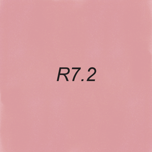Brush Ink - R7.2 Pink Dolphin