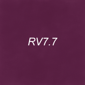 Brush Ink - RV7.7 Purple Shiso