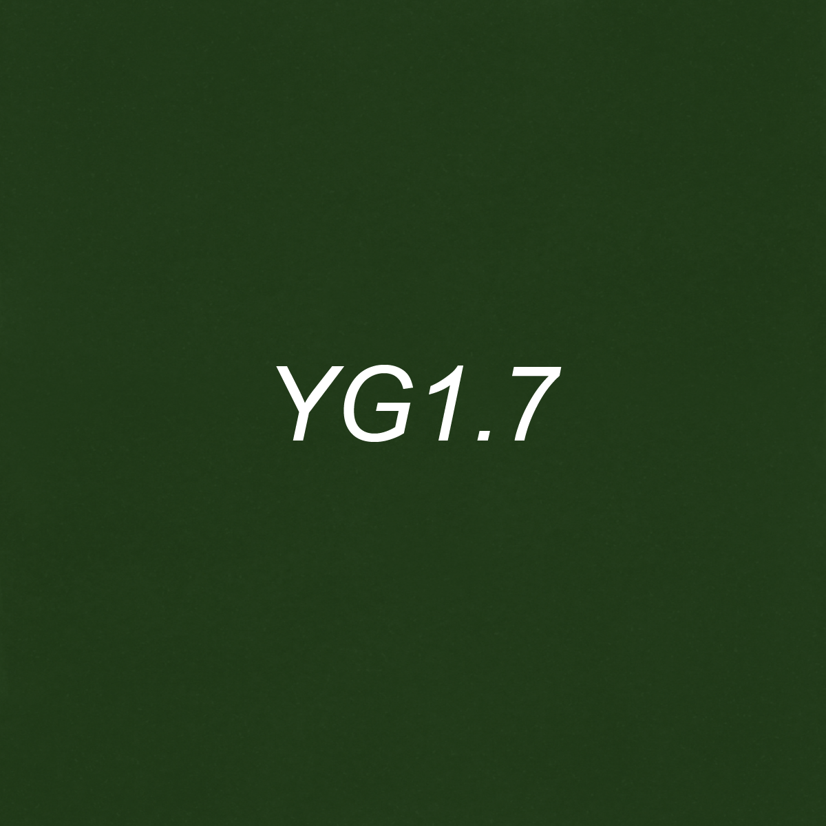 Brush Ink - YG1.7 Dark Forest