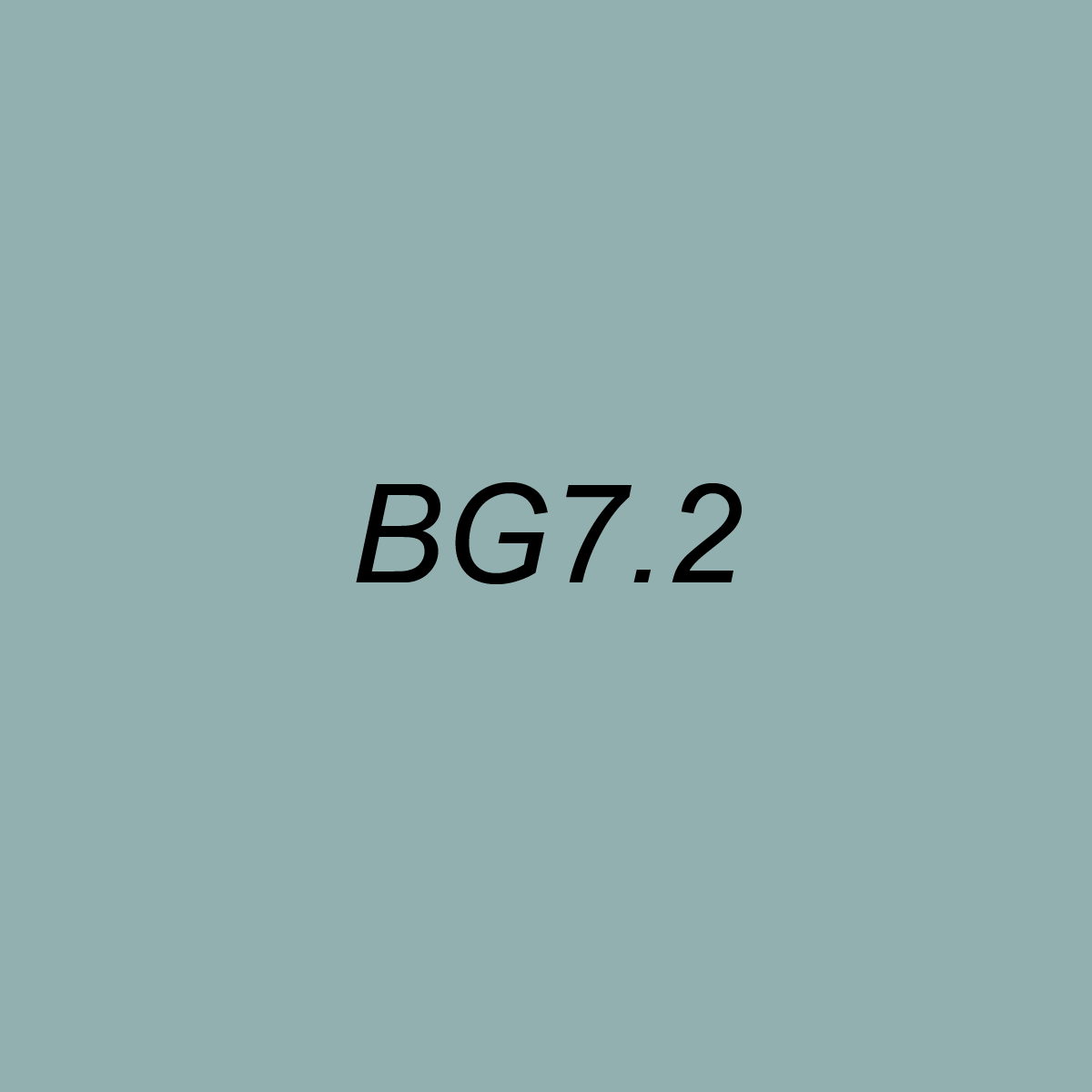 Brush - BG7.2 Silver Jade