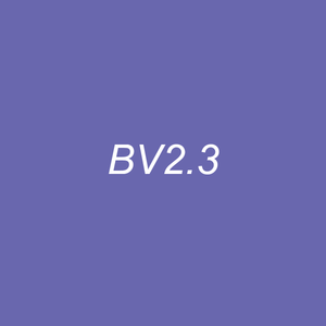 Brush - BV2.3 Hyacinth