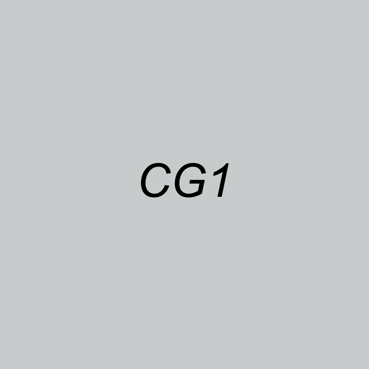 Chisel - CG1 Cool Gray 1