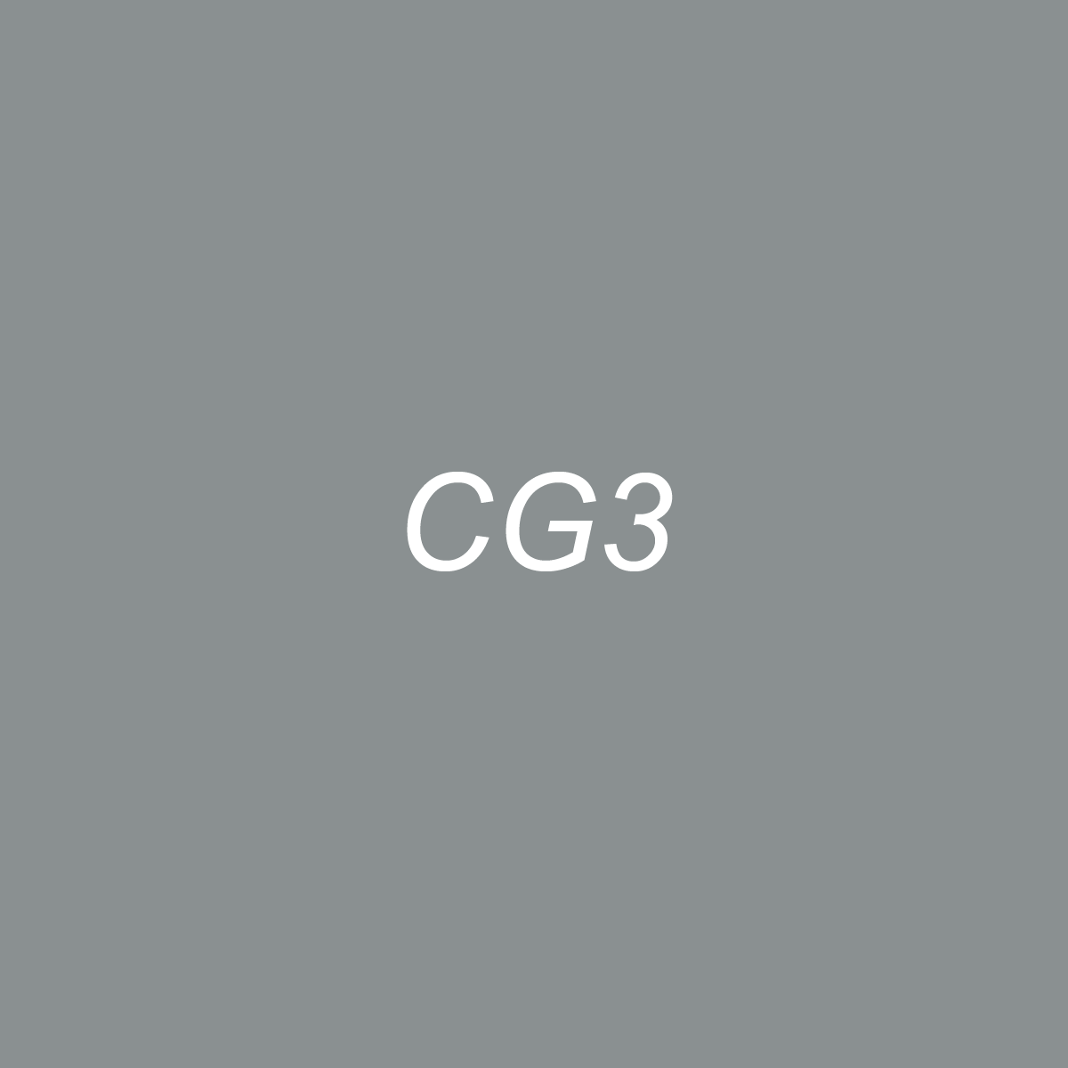 Chisel - CG3 Cool Gray 3