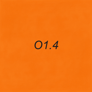 Brush Ink - O1.4 Orange