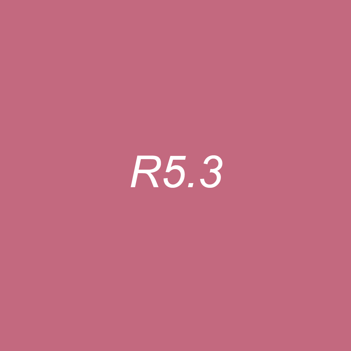 Chisel Ink - R5.3 Dusty Rose