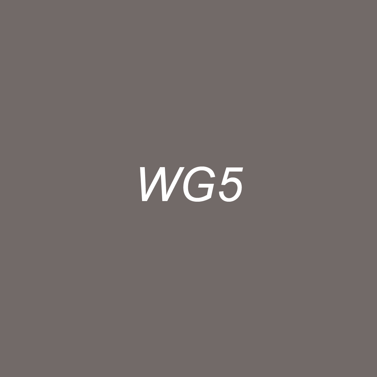 Chisel Ink - WG5 Warm Gray 5